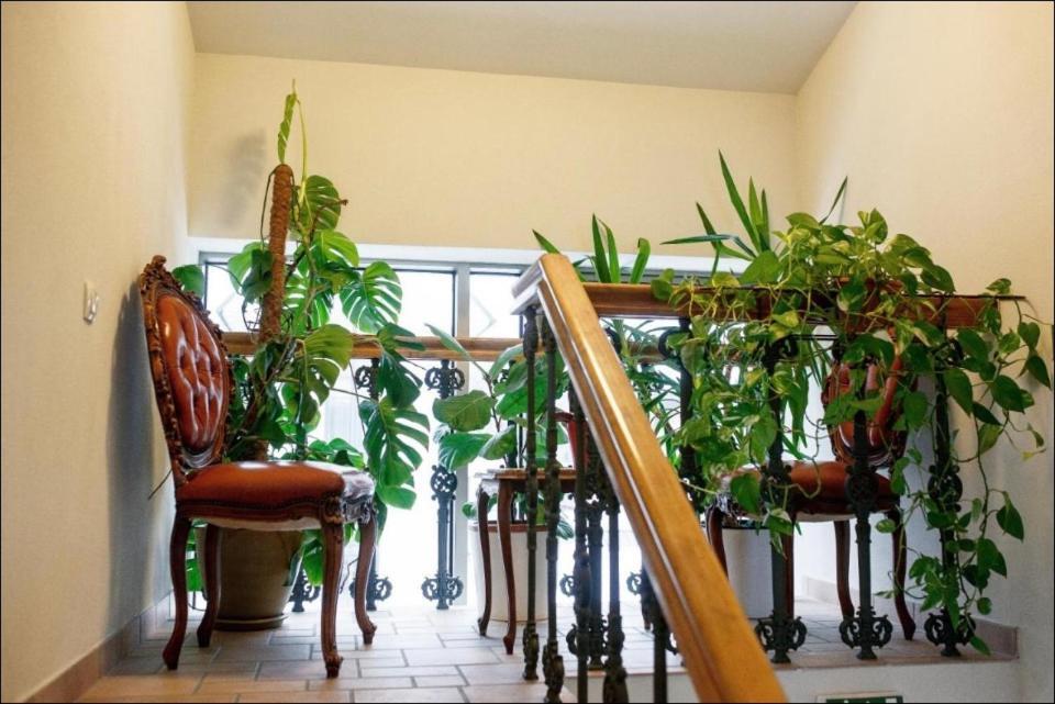 Apartment Senamiescio Inkaras Κλαϊπέντα Εξωτερικό φωτογραφία